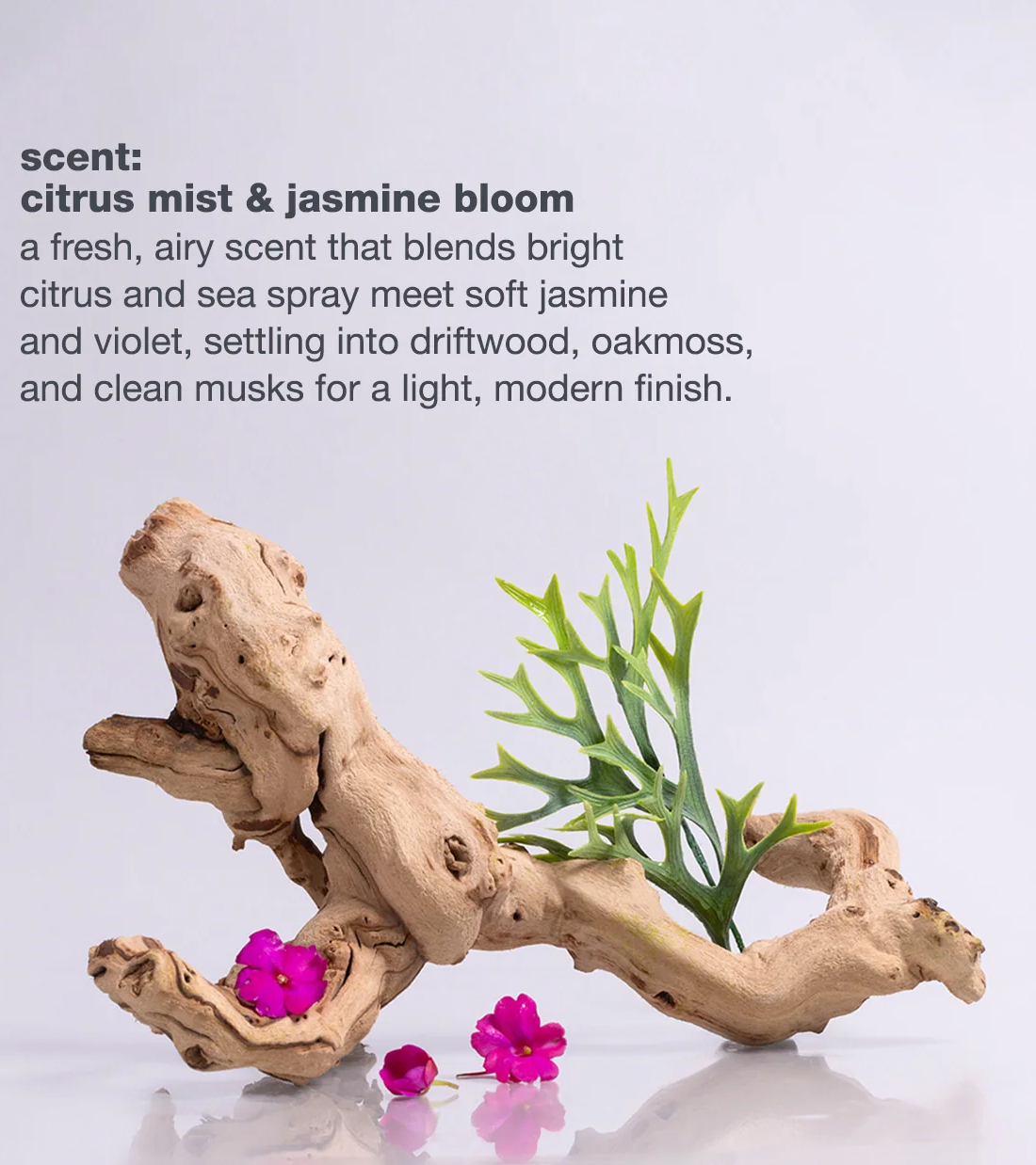 milk_shake Lifestyling smoothing cream